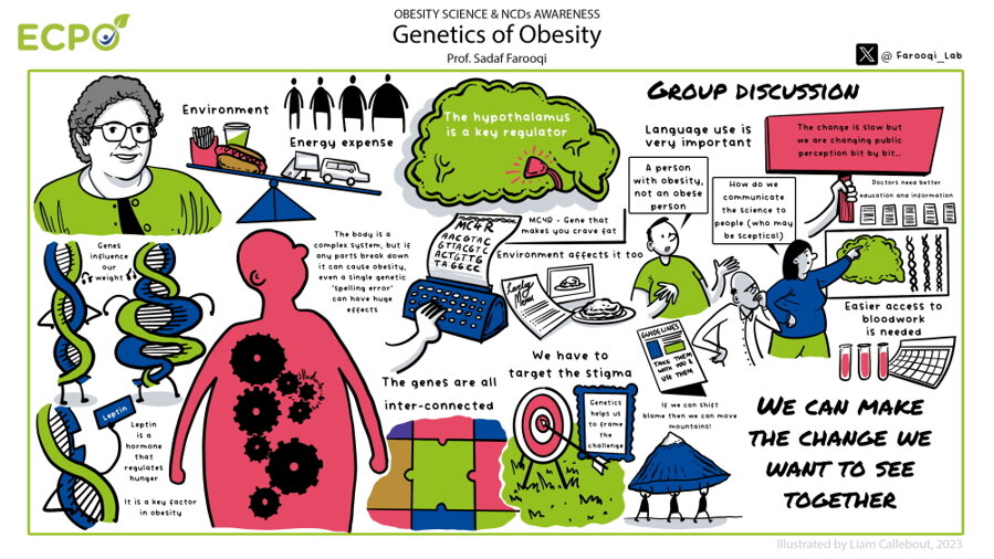 infografika Genetika obezity