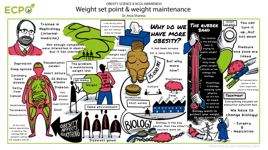 infografika Stanovená hmotnosť a udržiavanie hmotnosti